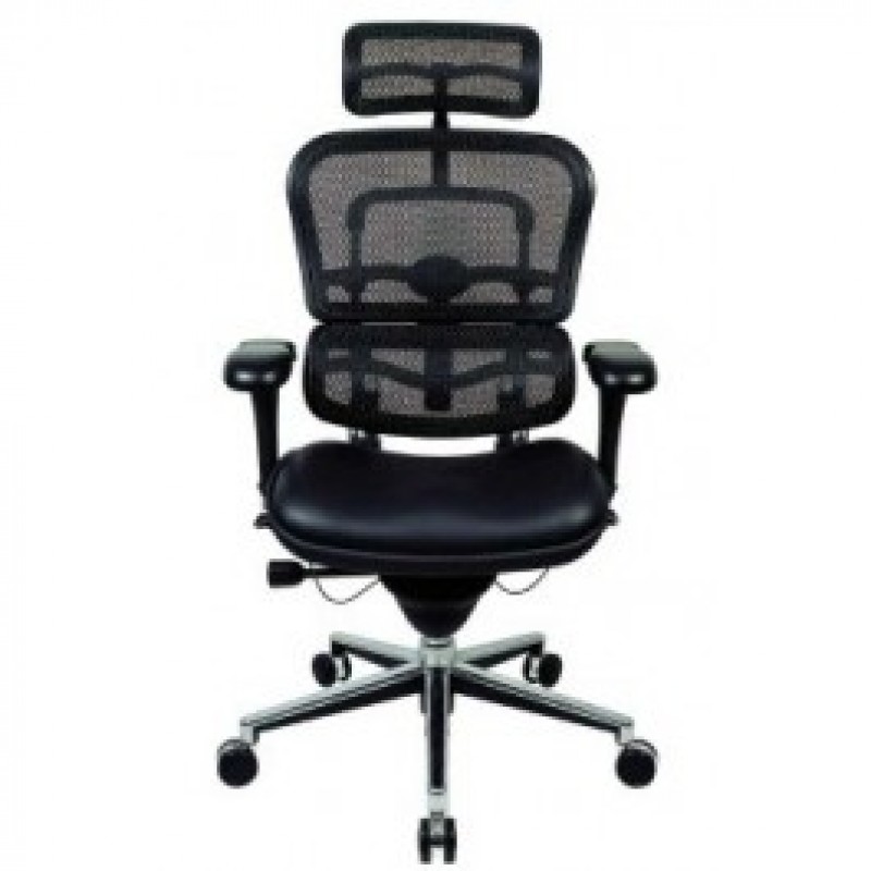 Ergohuman leather chair Clearance