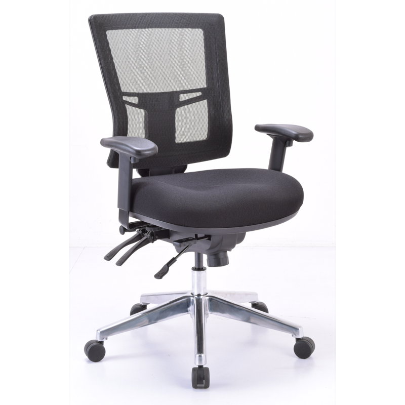 Performance - Model #6004 Heavy Duty Executive Multifunction with Arms