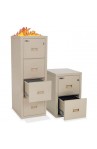 FIREKING 2 And 4 Drawer Vertical Files