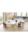Dog Bone Workstation - PLT120