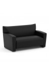 Tribeca Collection | Tribeca Love Seat - AVAILABLE IN BLACK OR GRAY | 2